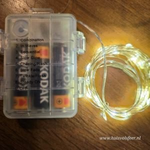Draadverlichting 40 LED- 4 meter || Indoor en Outdoor.
