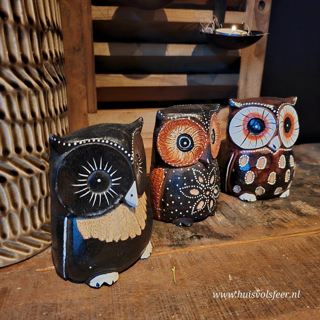 Uil- Hout. - Afbeelding 2