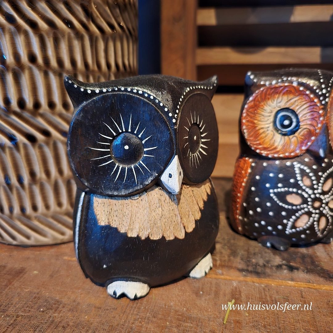 Uil- Hout. - Afbeelding 5