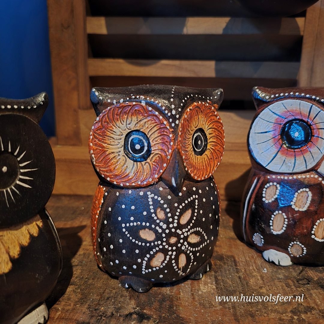 Uil- Hout. - Afbeelding 6