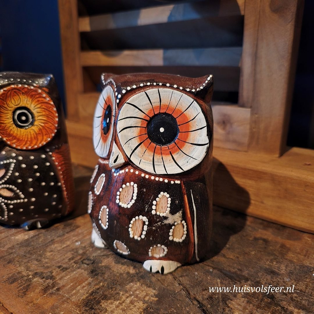 Uil- Hout. - Afbeelding 7