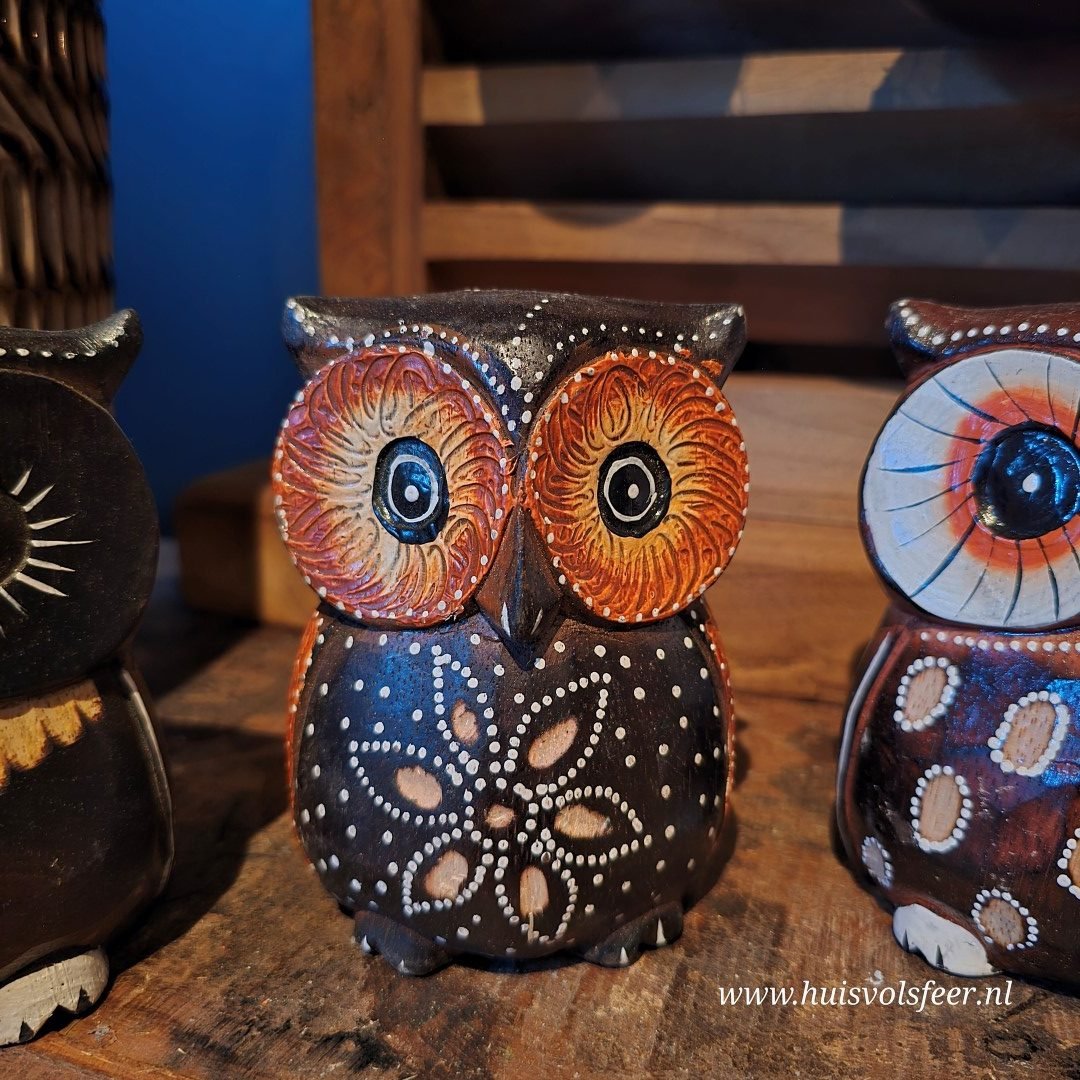 Uil- Hout. - Afbeelding 9