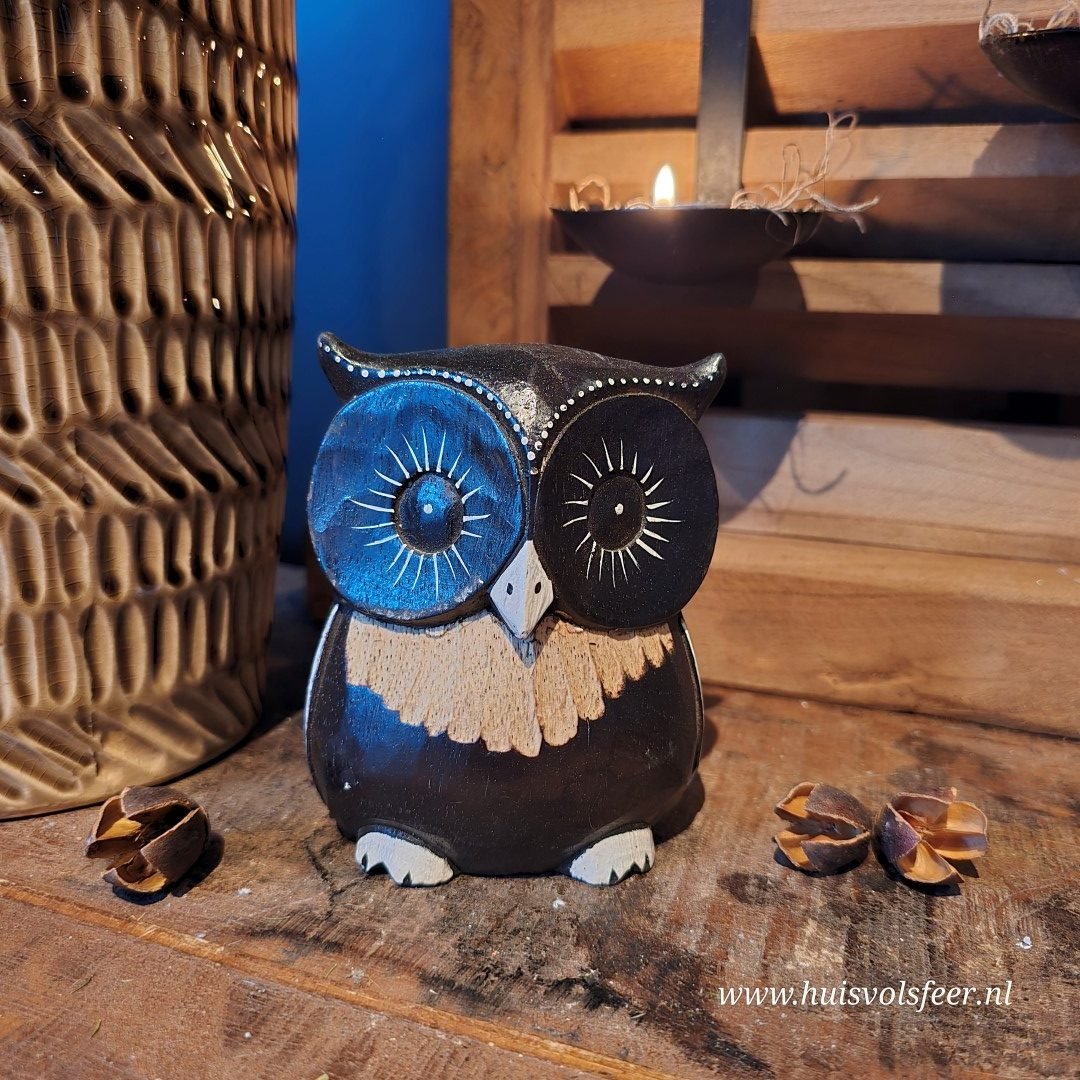 Uil- Hout. - Afbeelding 11