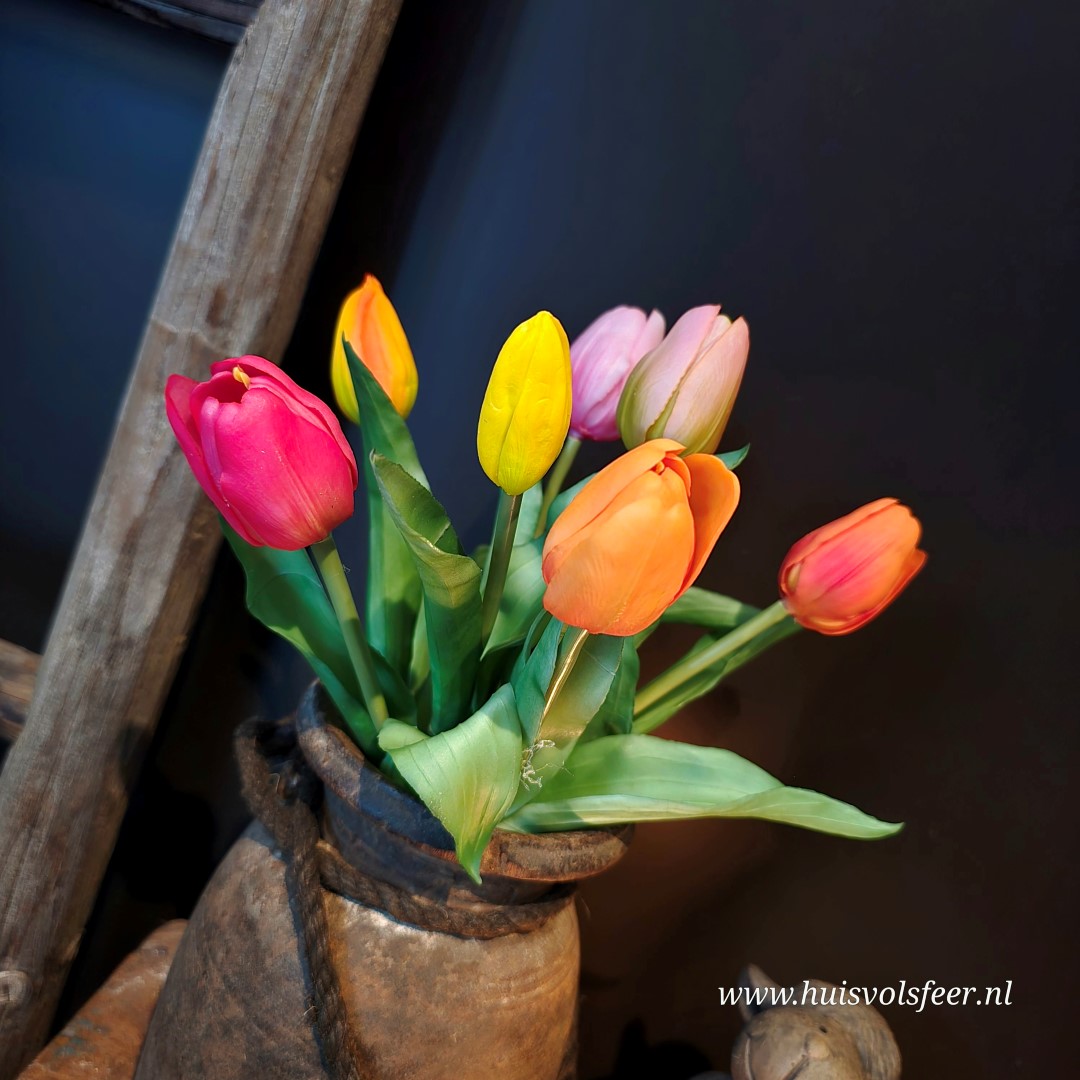 Kleurrijk Tulpenboeket || 7 Tulpen.