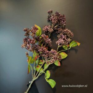 Prunus met Blad- Zijdetak || Fuchsia.