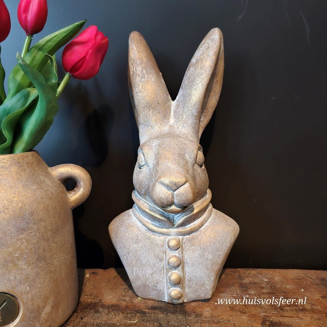 Konijn met 4 Knopen - 30 cm. Jewel || Brynxz. - Afbeelding 5