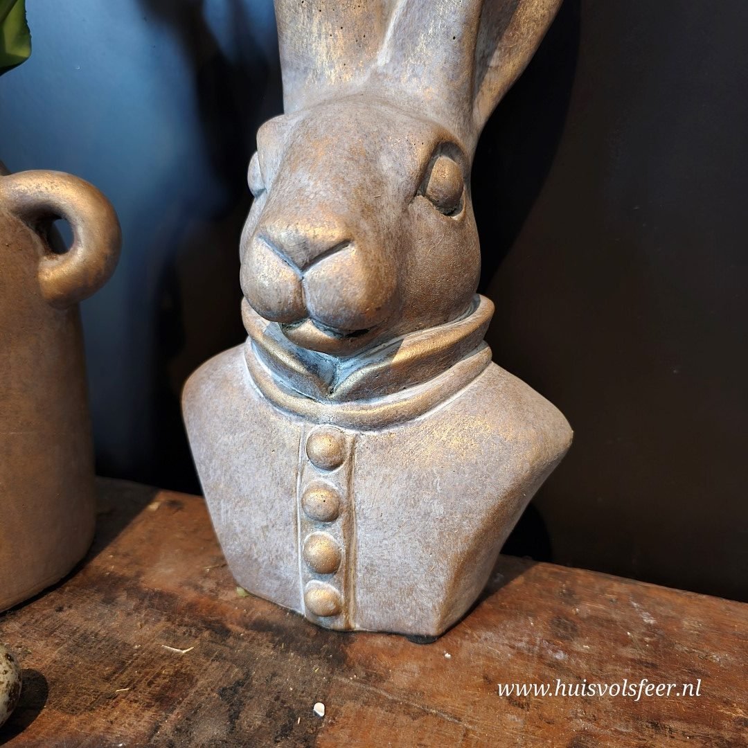 Konijn met 4 Knopen - 30 cm. Jewel || Brynxz. - Afbeelding 6