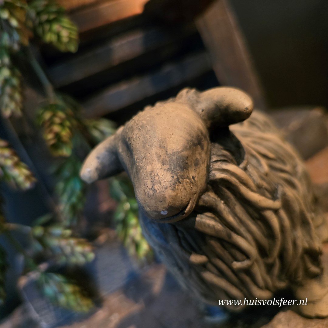 Set of 2 Hairy Sheep- Majestic Brown || Brynxz. - Afbeelding 9