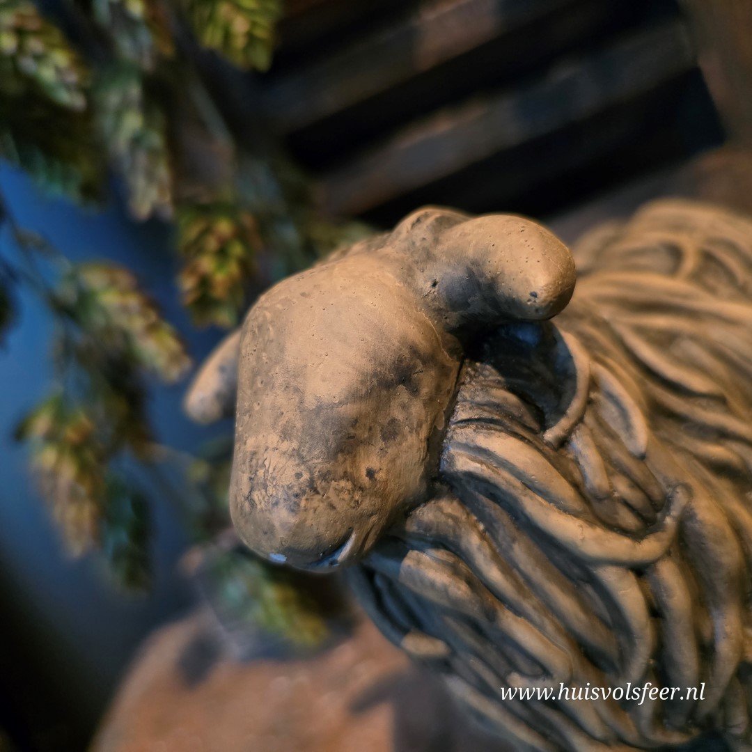 Set of 2 Hairy Sheep- Majestic Brown || Brynxz. - Afbeelding 10