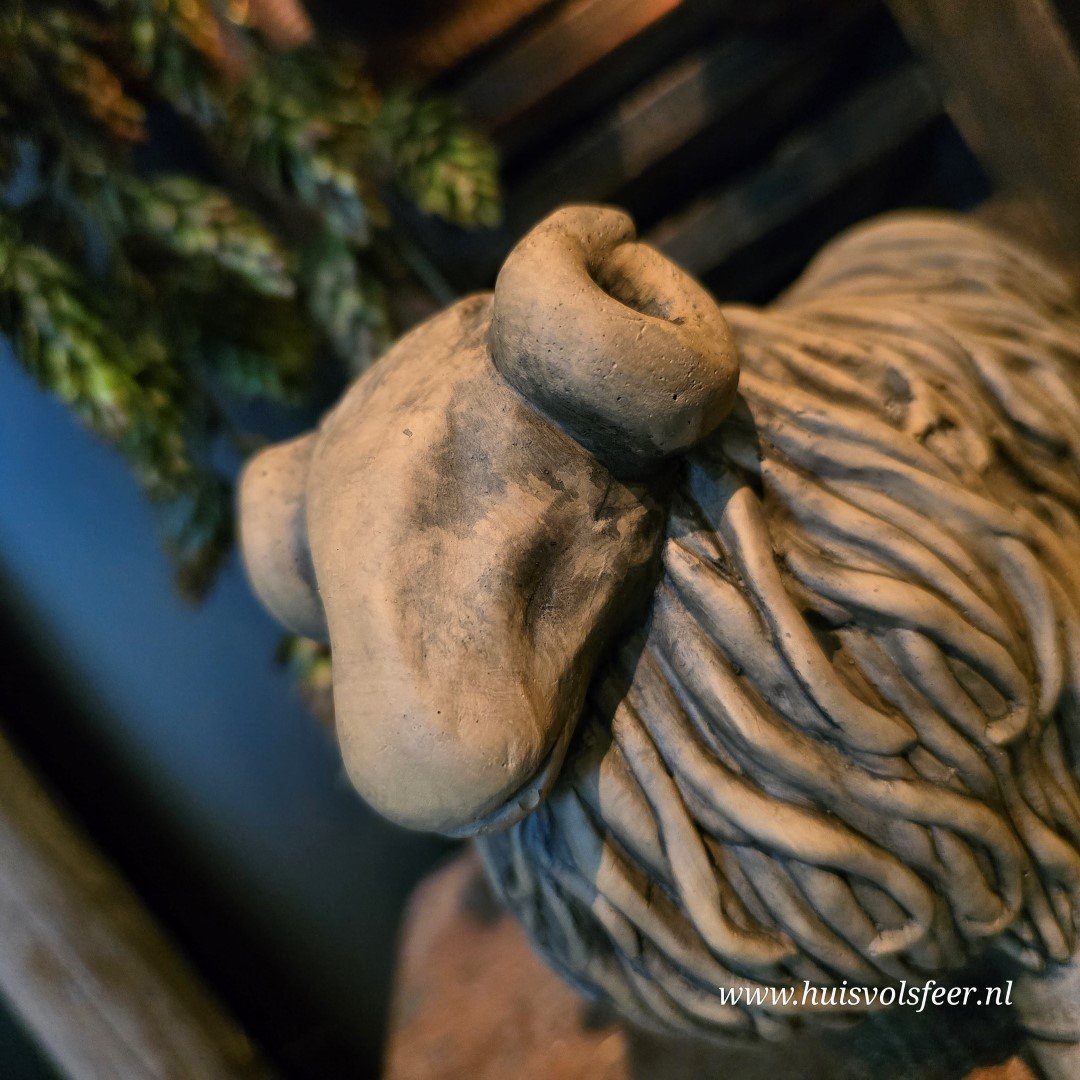 Set of 2 Hairy Sheep- Majestic Brown || Brynxz. - Afbeelding 8