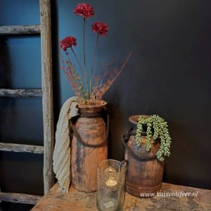 Anjer Aubergine- Zijdetak.