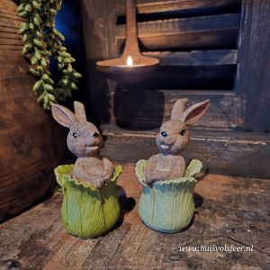 Tulp met Haasje.