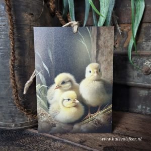 Houten bordje met touw. Kuikentjes.