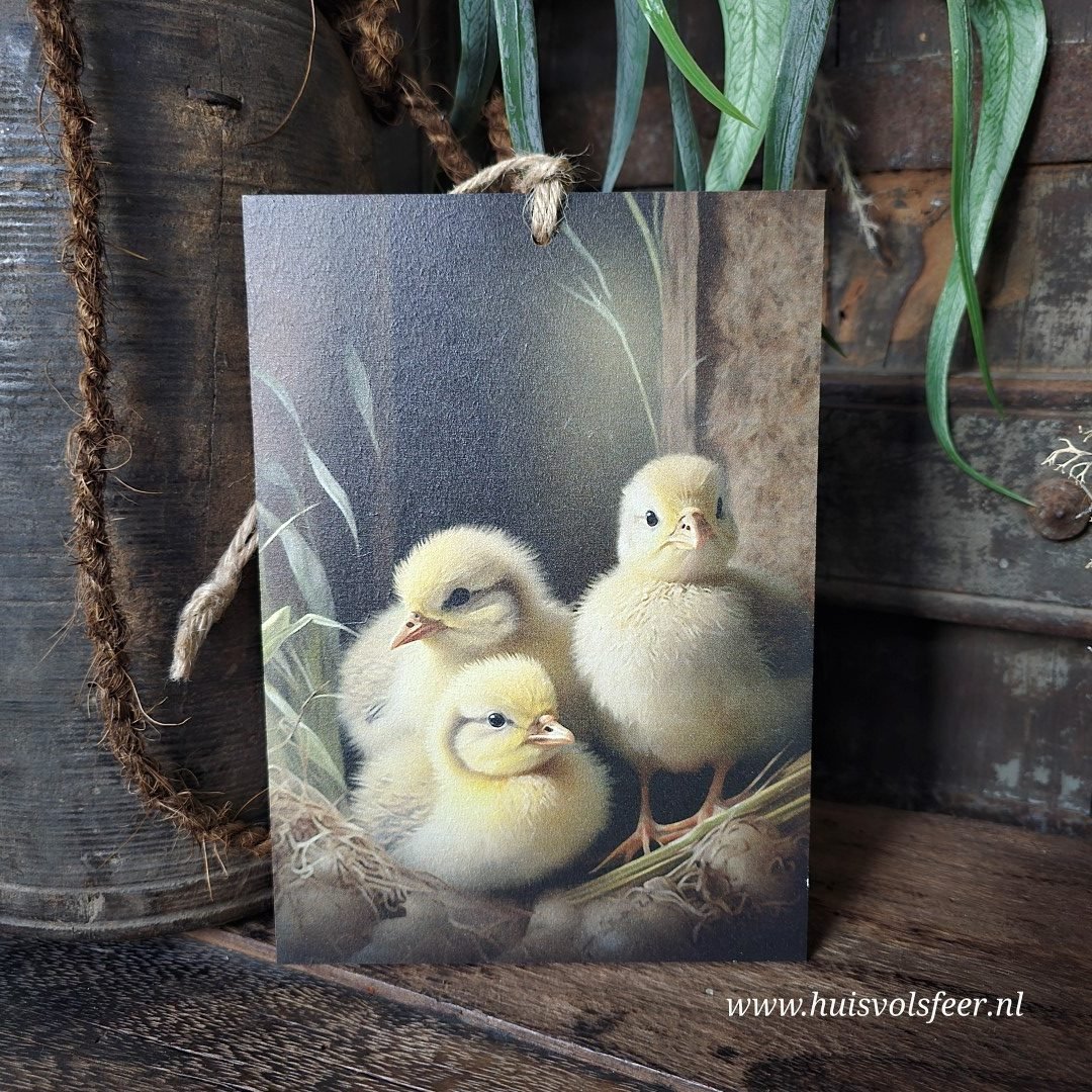 Houten bordje met touw. Kuikentjes.