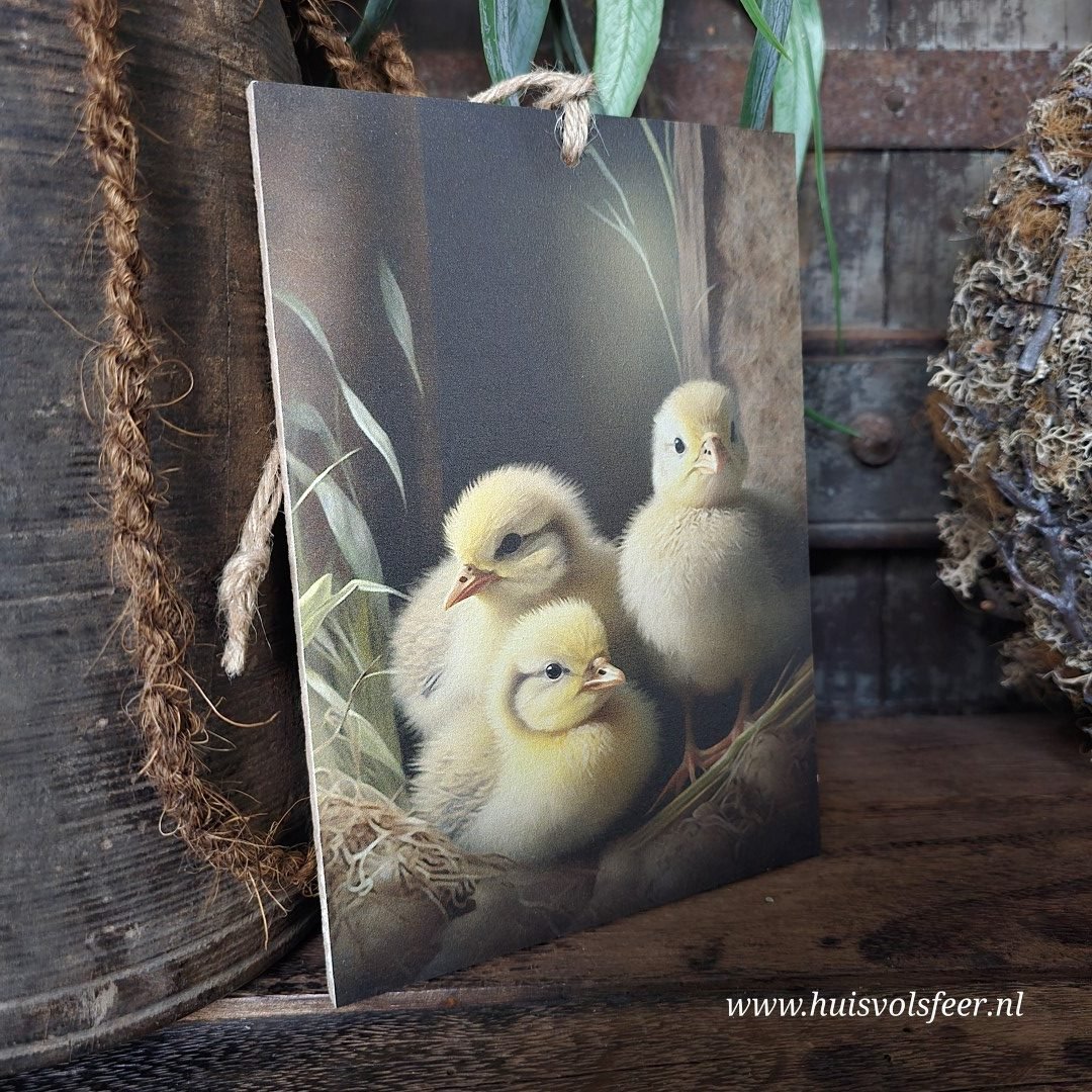 Houten bordje met touw. Kuikentjes. - Afbeelding 2