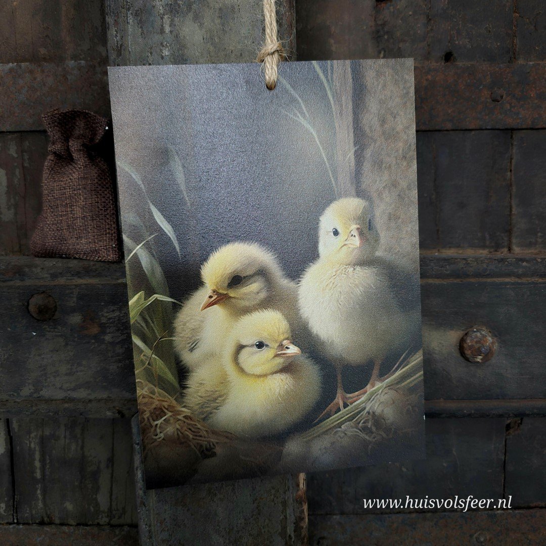 Houten bordje met touw. Kuikentjes. - Afbeelding 3