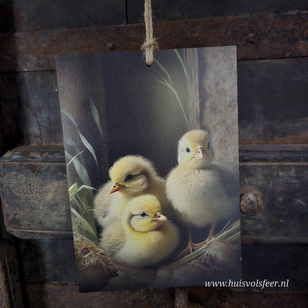 Houten bordje met touw. Kuikentjes. - Afbeelding 4