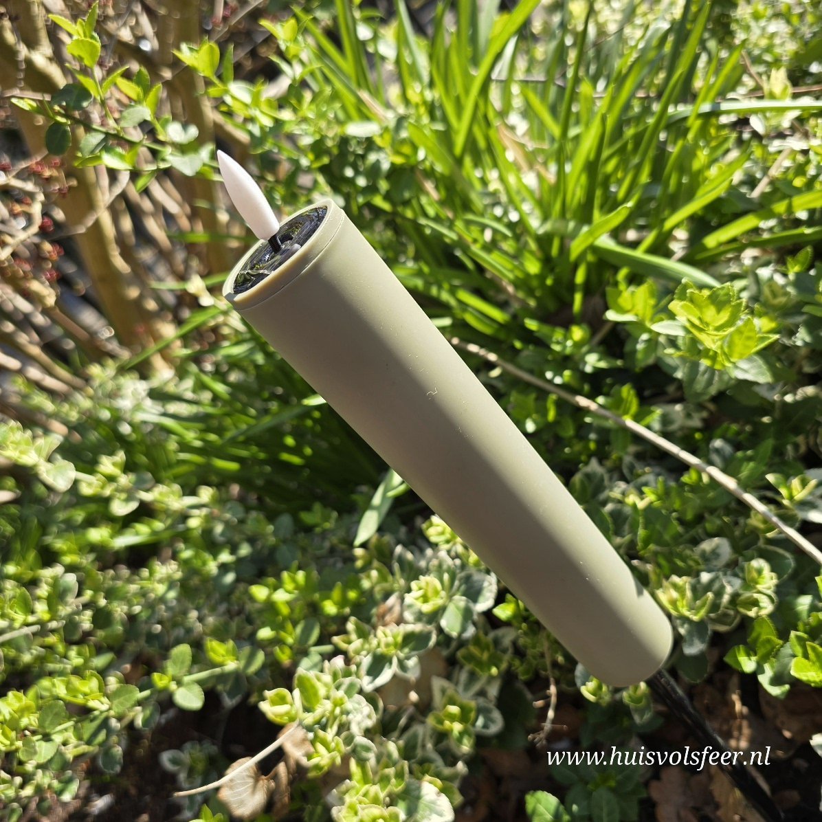 Tuin Fakkel || Olive Green - Afbeelding 5