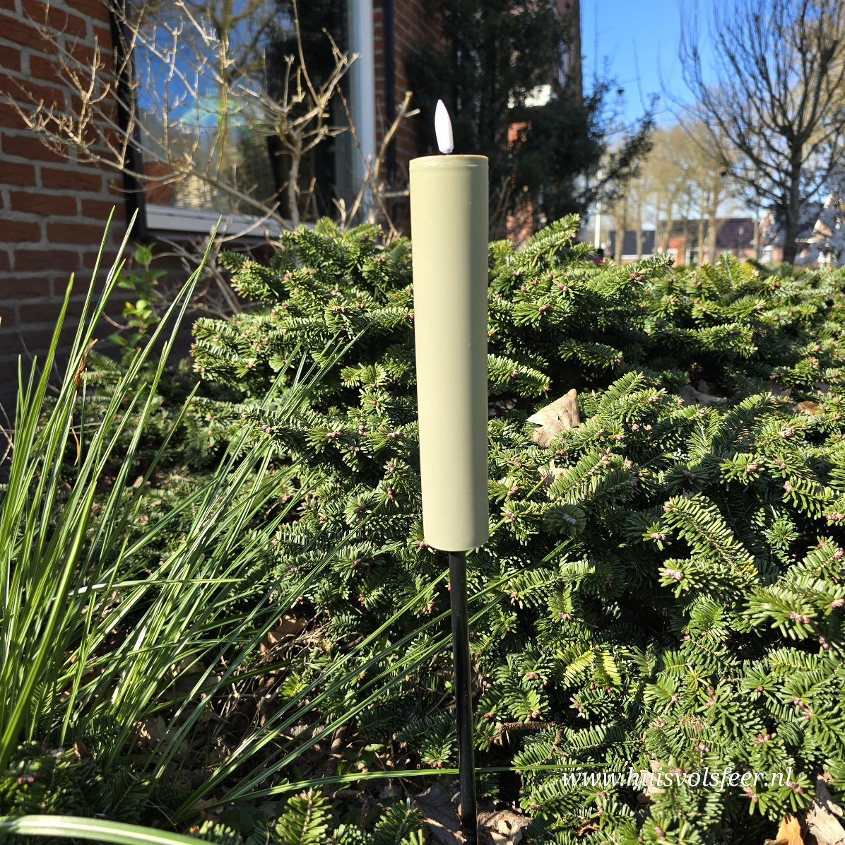 Tuin Fakkel || Olive Green - Afbeelding 4