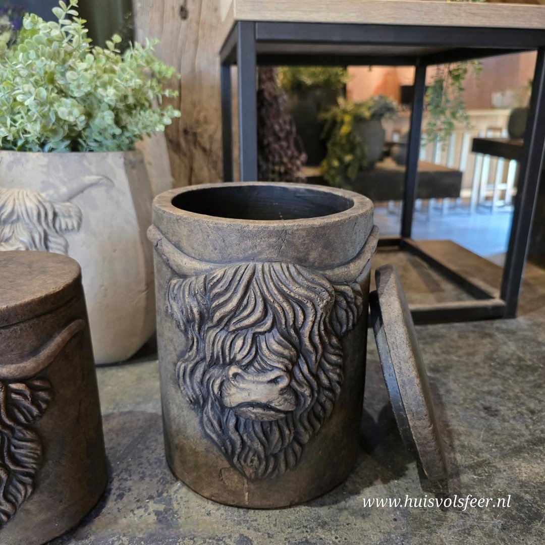 Pot and Top Scotty 20 x H25 cm- Majestic Brown || Brynxz. - Afbeelding 5