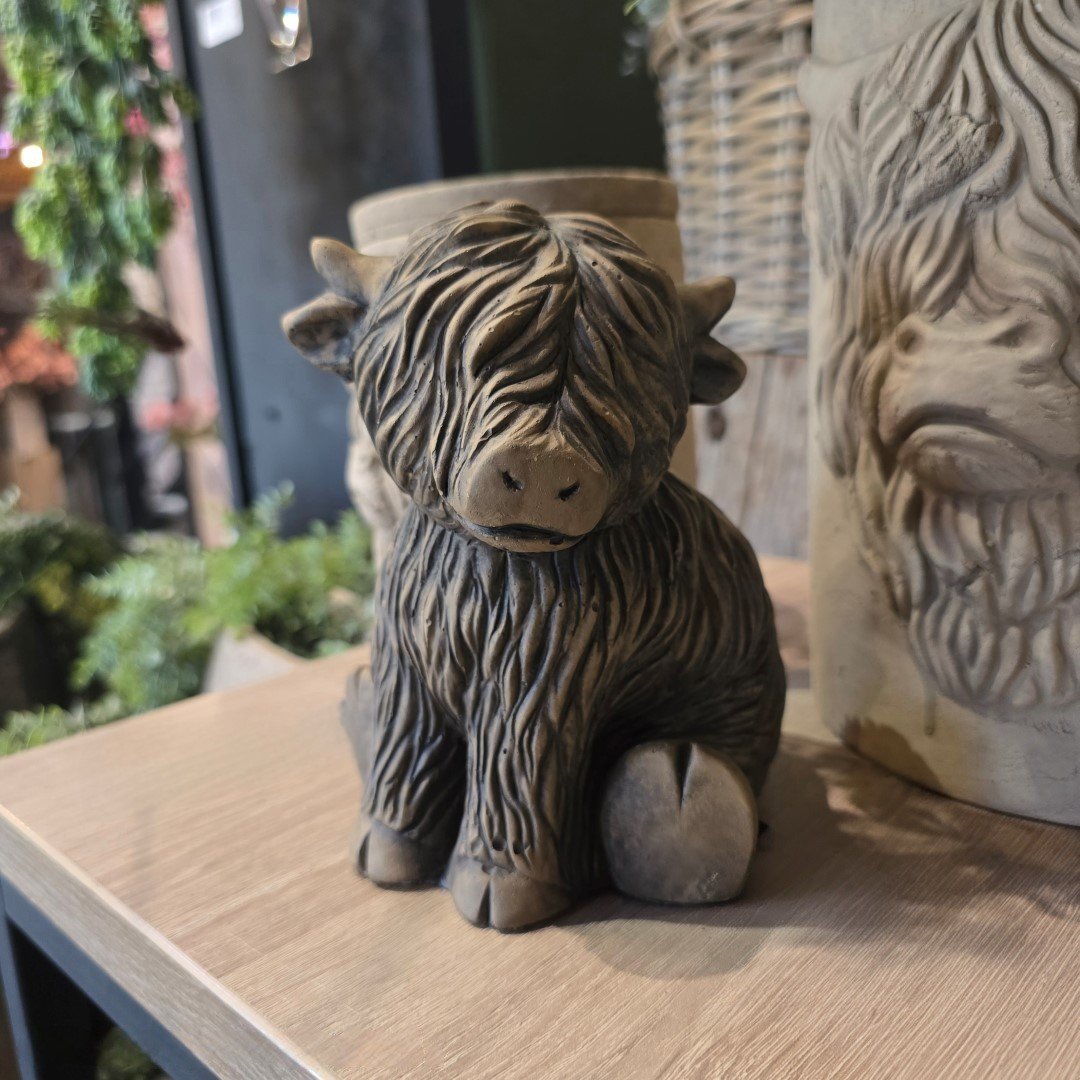 Sitting Scotty Cute- Majestic Brown || Brynxz.