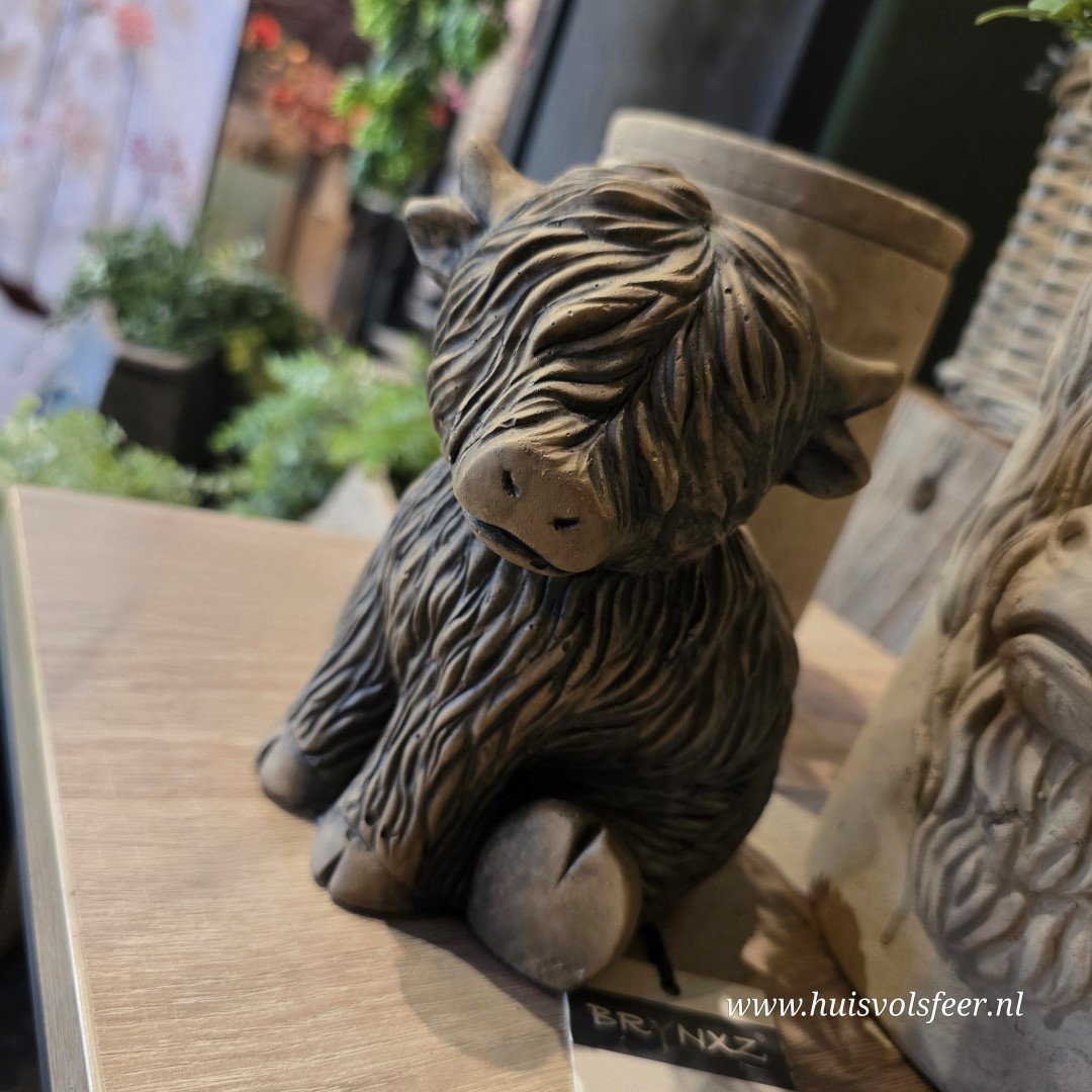 Sitting Scotty Cute- Majestic Brown || Brynxz. - Afbeelding 2