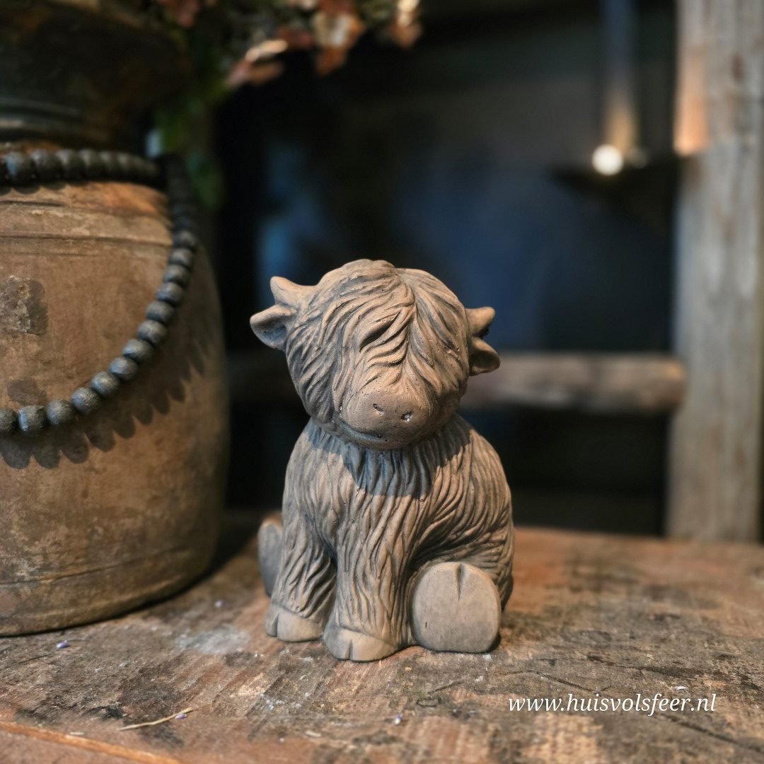 Sitting Scotty Cute- Majestic Brown || Brynxz. - Afbeelding 5