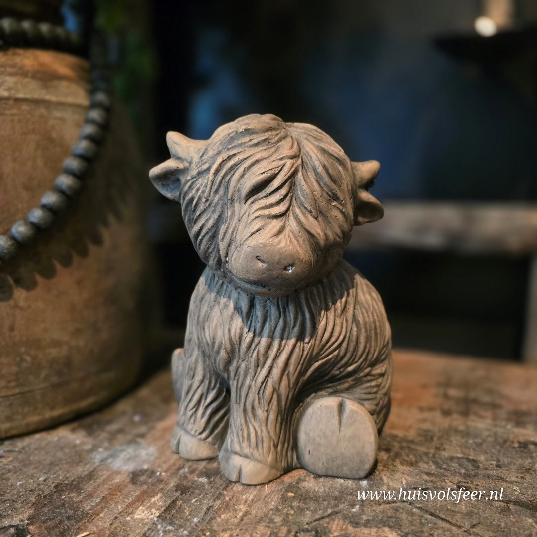 Sitting Scotty Cute- Majestic Brown || Brynxz. - Afbeelding 6