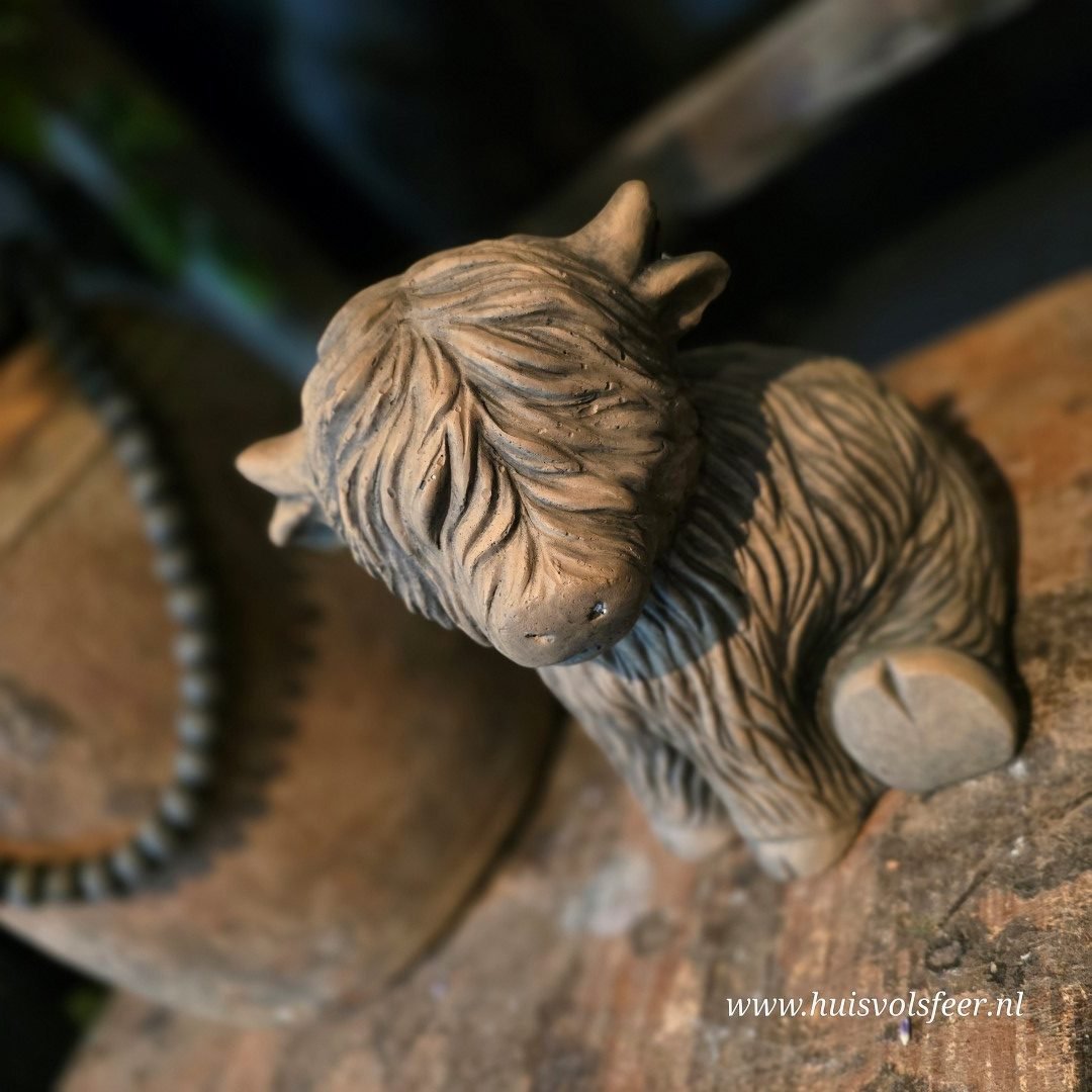 Sitting Scotty Cute- Majestic Brown || Brynxz. - Afbeelding 7