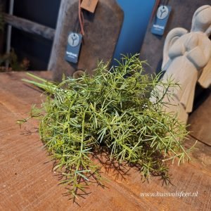 Aspargus Boeketje || Groen
