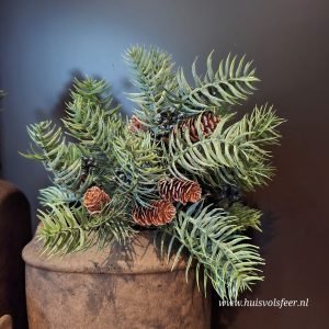 Tak Dennengroen met Blauwe Bes || 40 cm