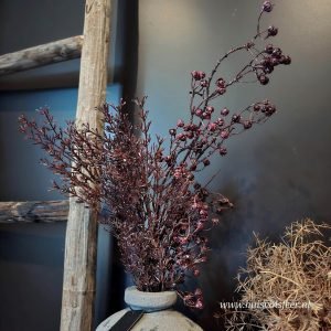 Linium Bundel || 50 cm