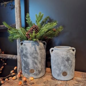 Bundel Pine Cone || 40 cm