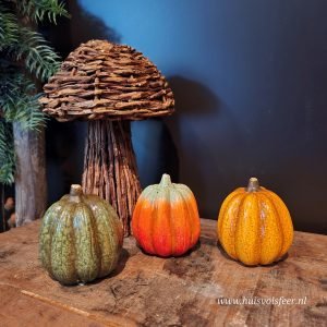 Set van 3 pompoenen || 10 cm