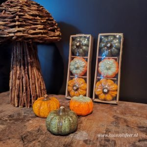 Set van 3 pompoenen || 5 cm