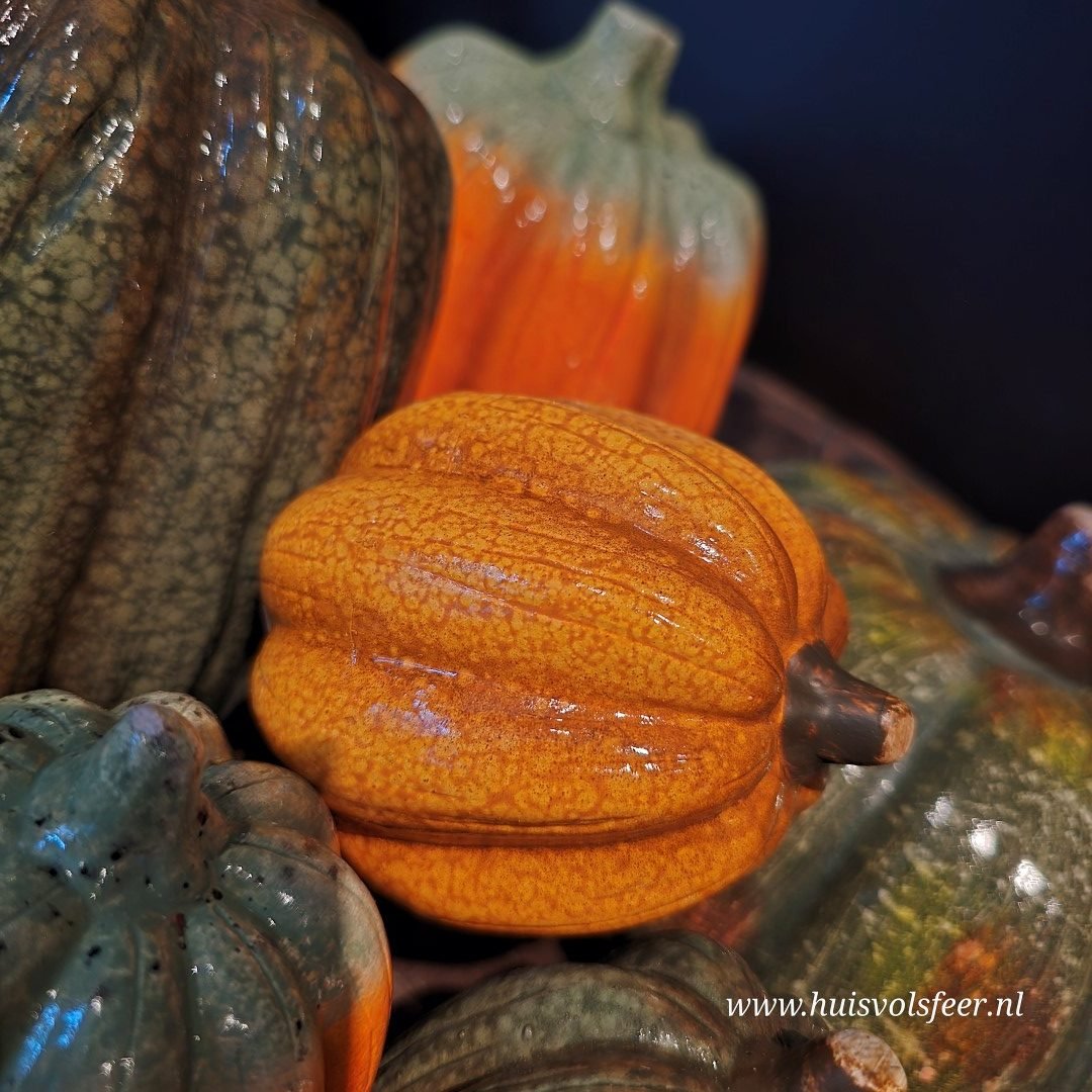 Set van 3 pompoenen || 10 cm - Afbeelding 9