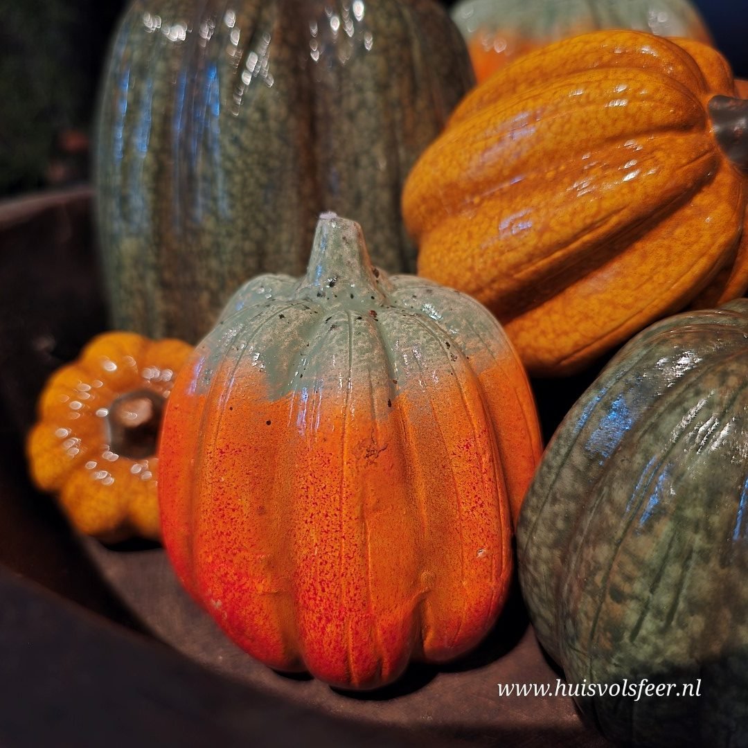 Set van 3 pompoenen || 10 cm - Afbeelding 10