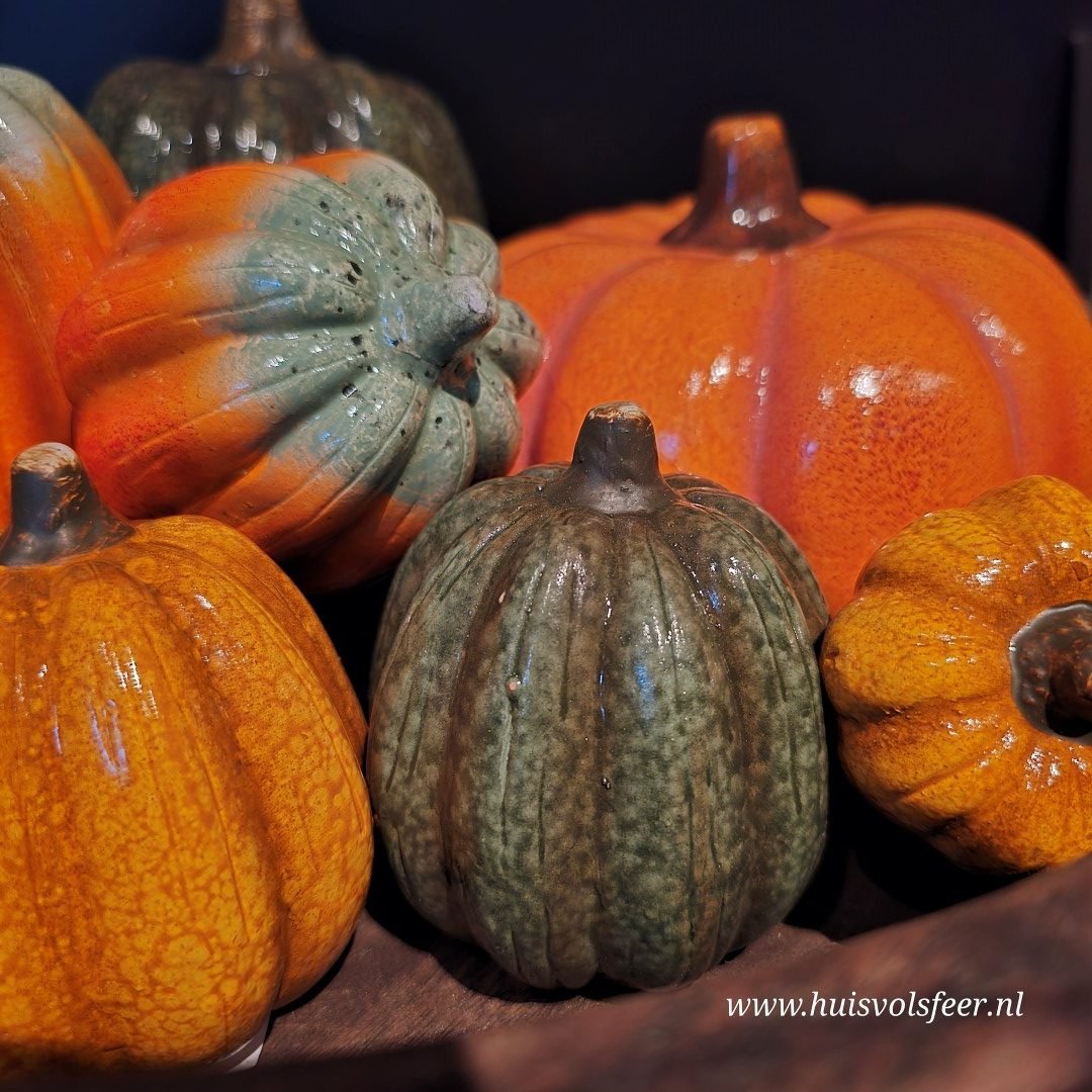 Set van 3 pompoenen || 10 cm - Afbeelding 12