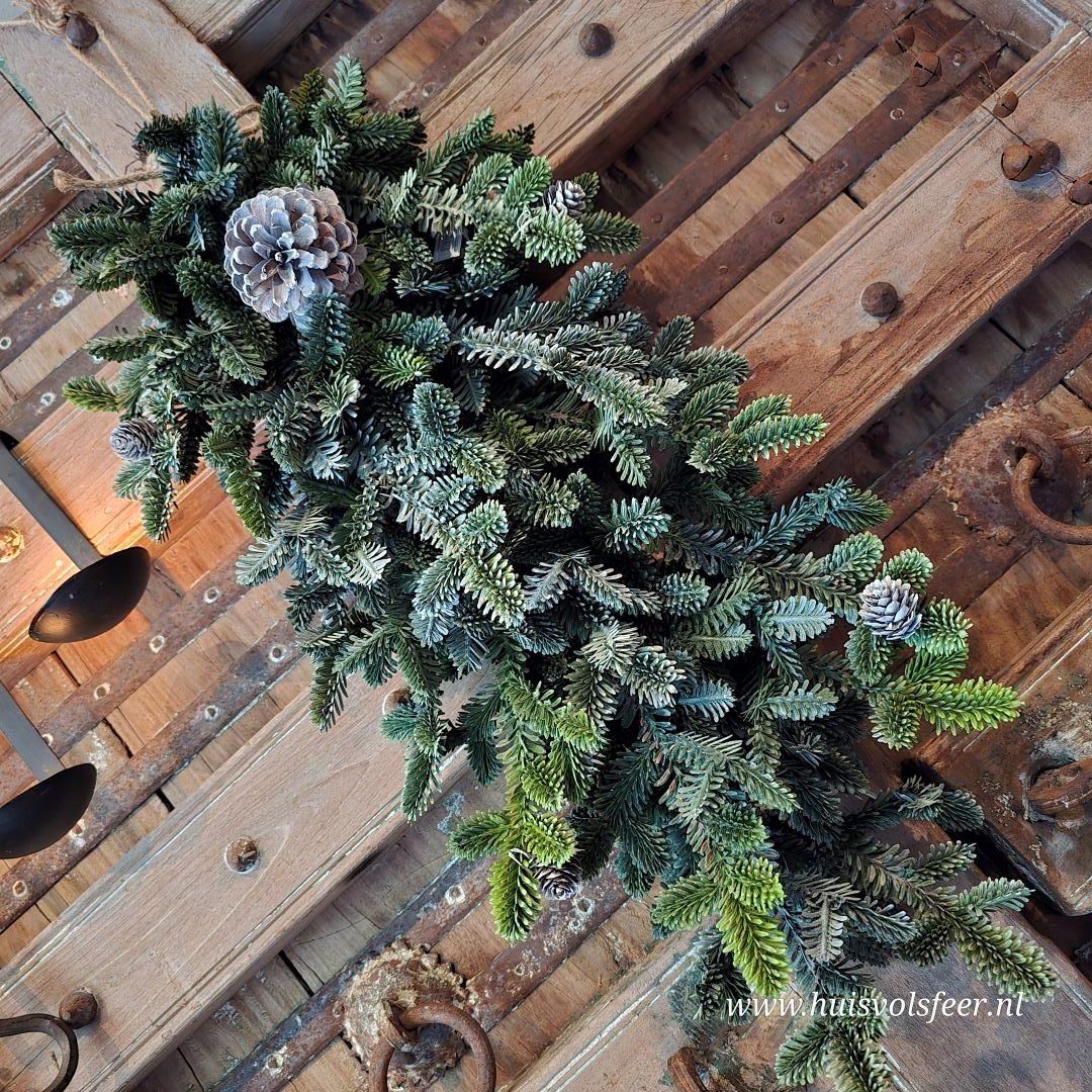 Toef Nordmania- Kunstgroen || 70 cm - Afbeelding 4