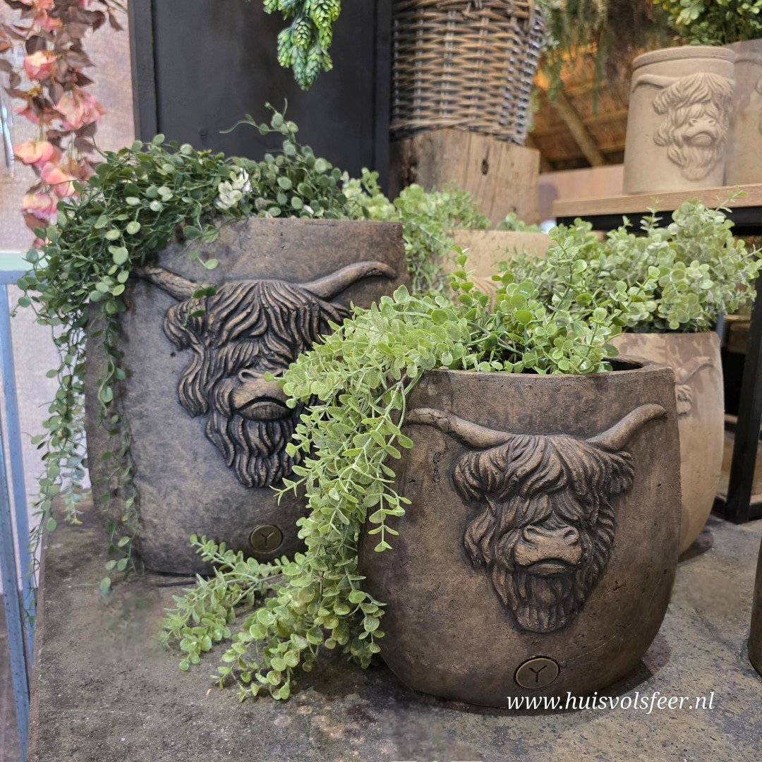 Planter Oval Scotty M- Majestic Brown || Brynxz