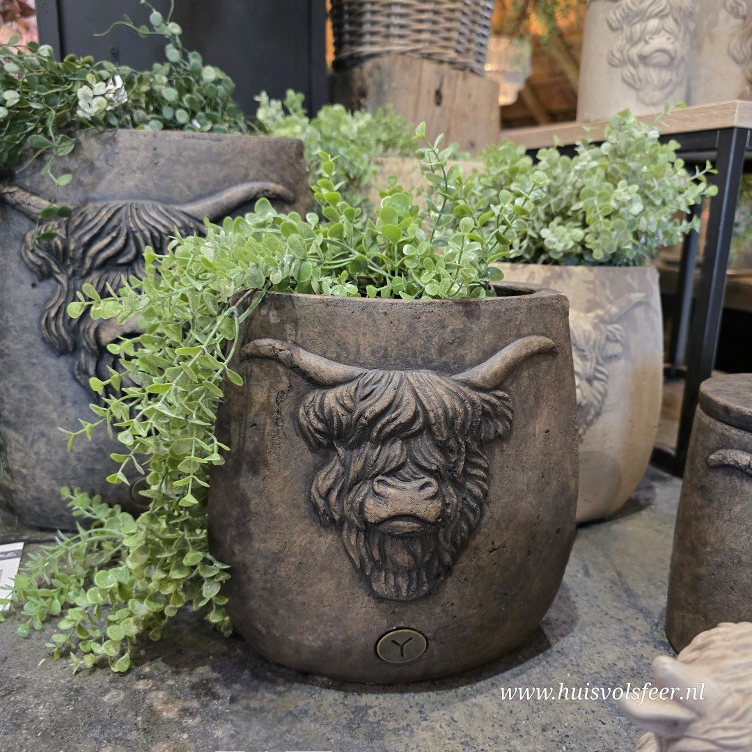 Planter Oval Scotty M- Majestic Brown || Brynxz - Afbeelding 2