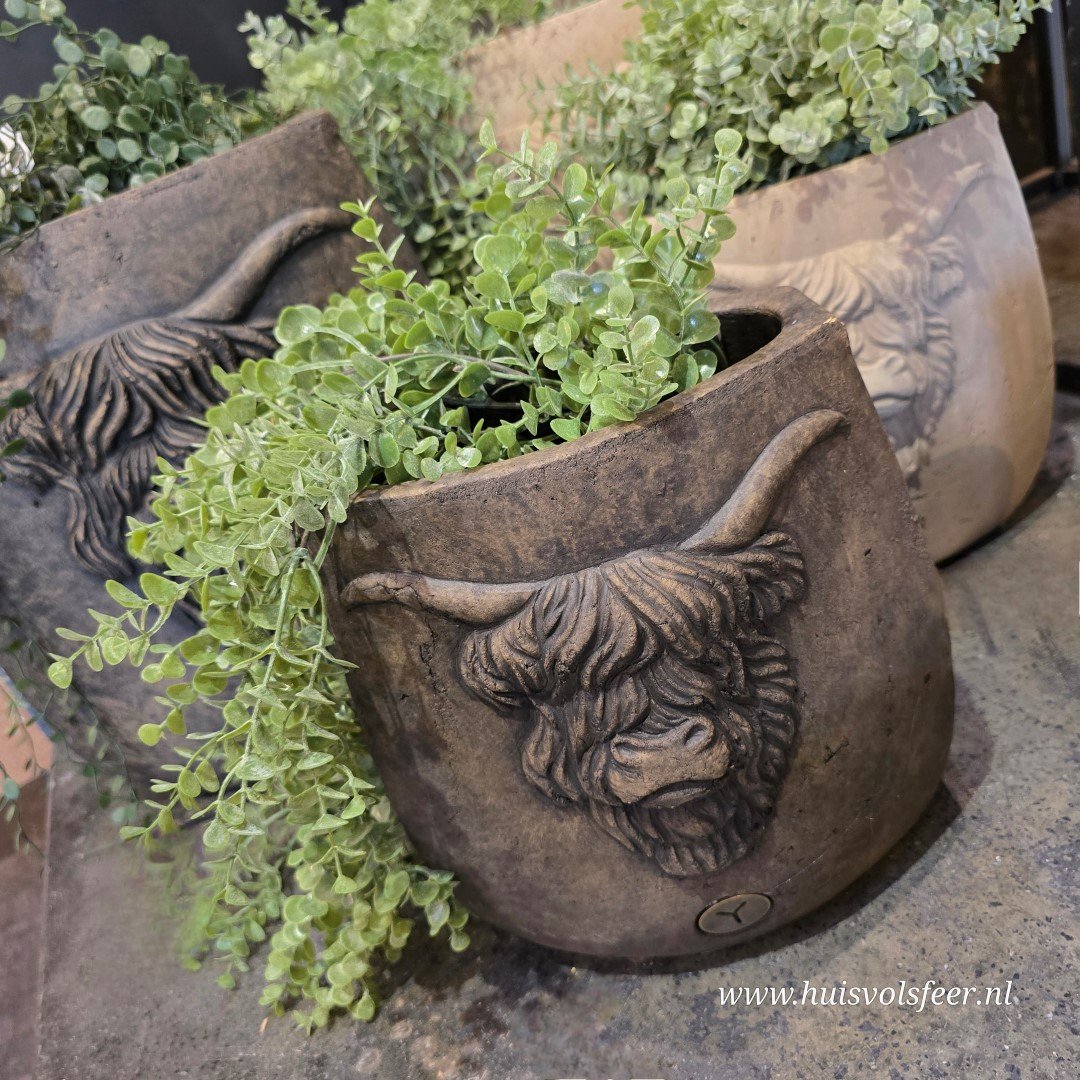 Planter Oval Scotty M- Majestic Brown || Brynxz - Afbeelding 3