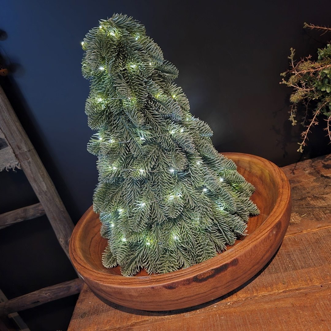 Schaal- Paulownia hout || 45 cm - Afbeelding 4