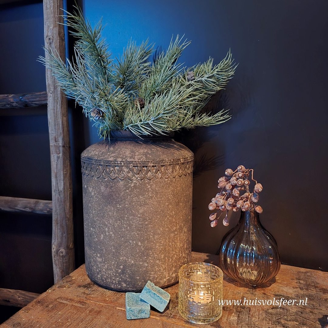 Bundel Cedrus- Zijdetak.