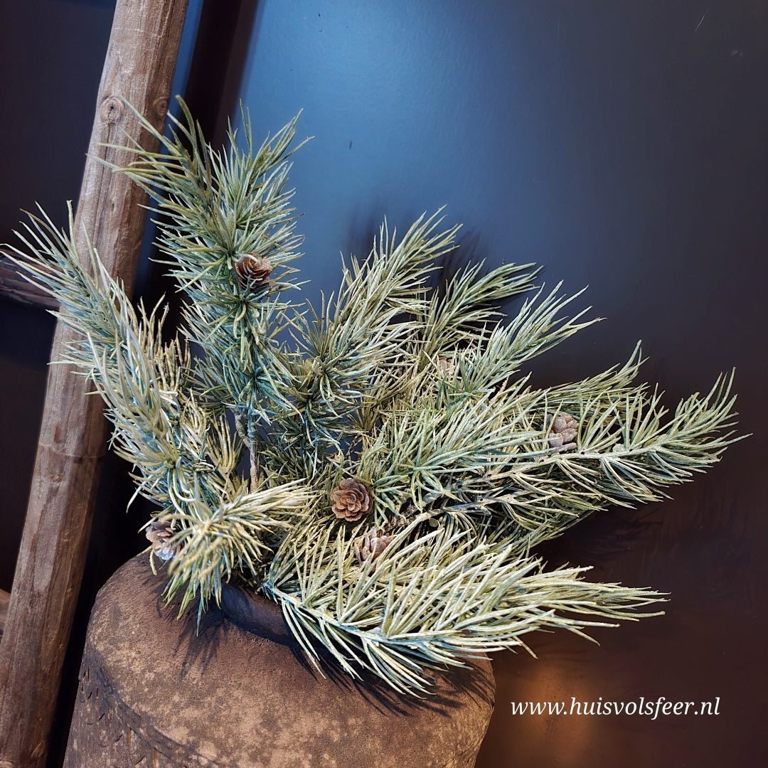 Bundel Cedrus- Zijdetak. - Afbeelding 2