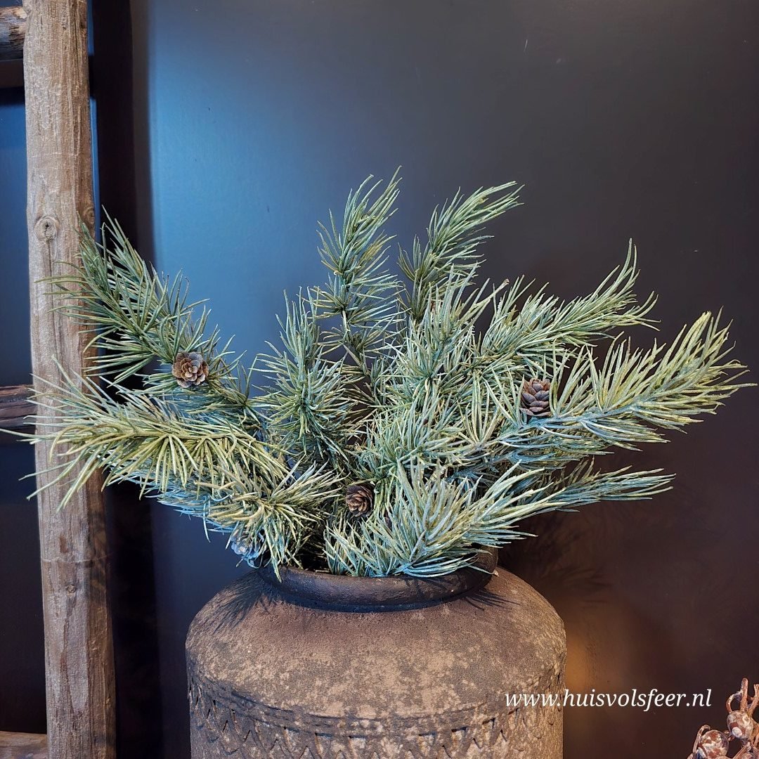 Bundel Cedrus- Zijdetak. - Afbeelding 3