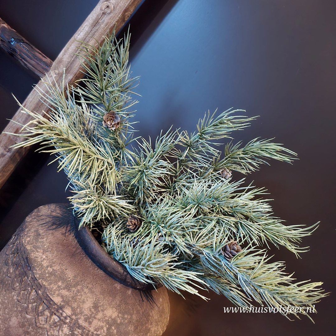 Bundel Cedrus- Zijdetak. - Afbeelding 4