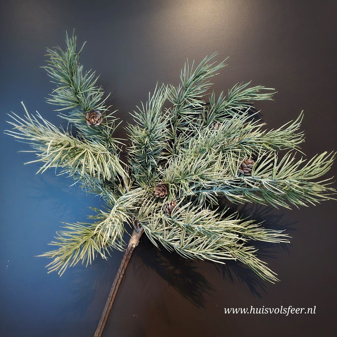 Bundel Cedrus- Zijdetak. - Afbeelding 5