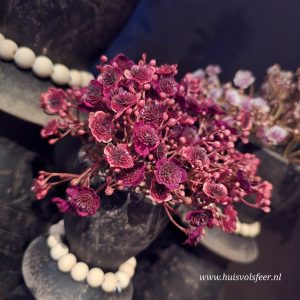 Bundle of 5 Stems Gypsophila – Burgundy || Sylxz