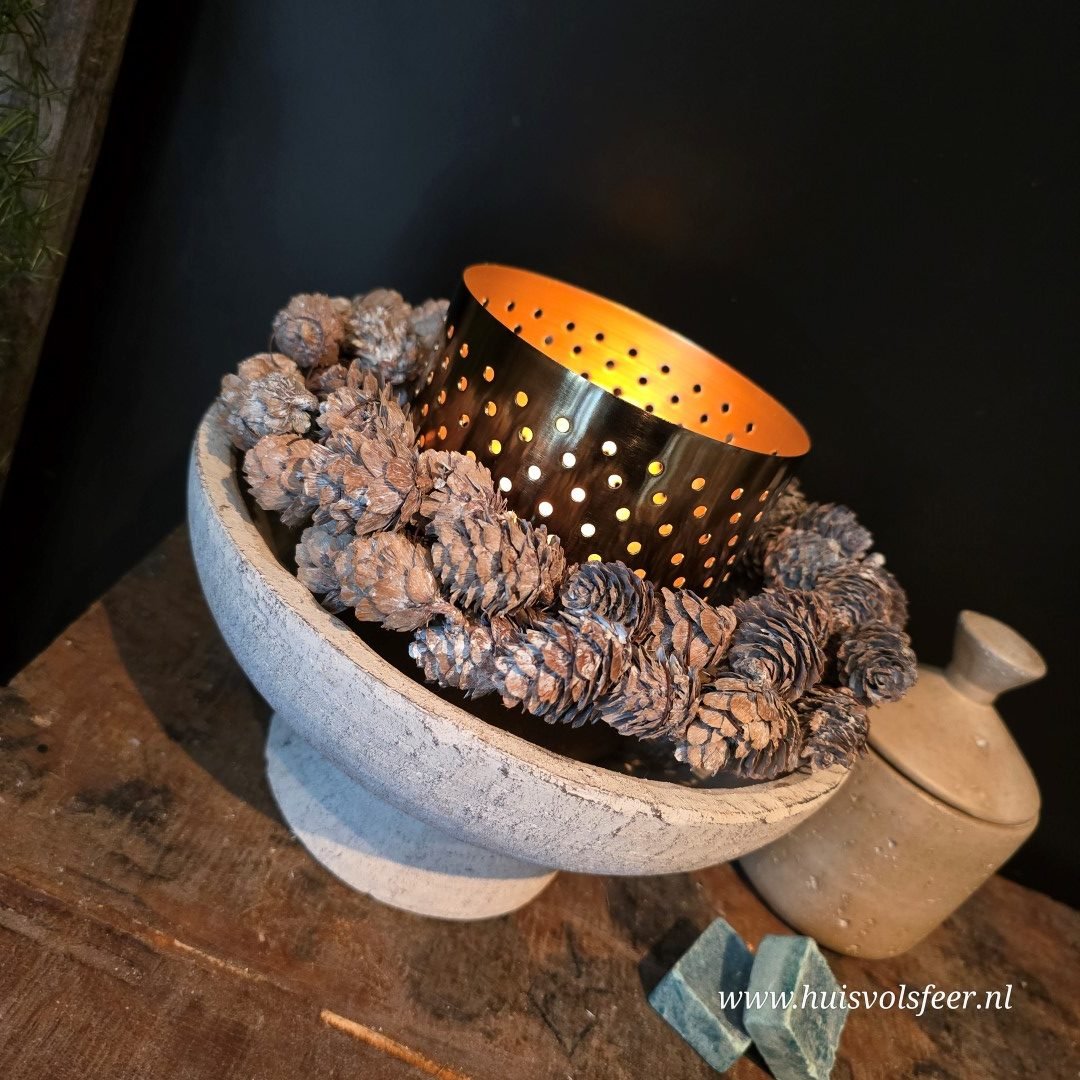 Pors schaal op voet - Afbeelding 4